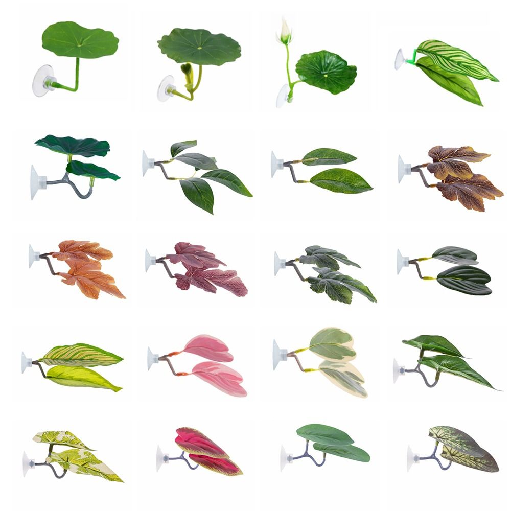 Aquarium Plant Live - Folha de descanso de peixe betta
