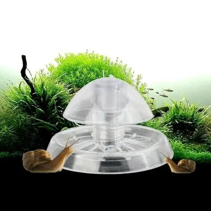 Planted Aquarium With Fish - 2026 Nova Armadilha de Plástico Transparente