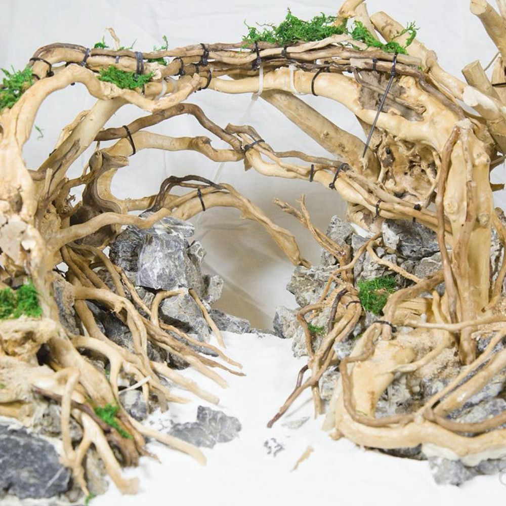Aquarium Plant Live - Tronco de Madeira Natural N1N para