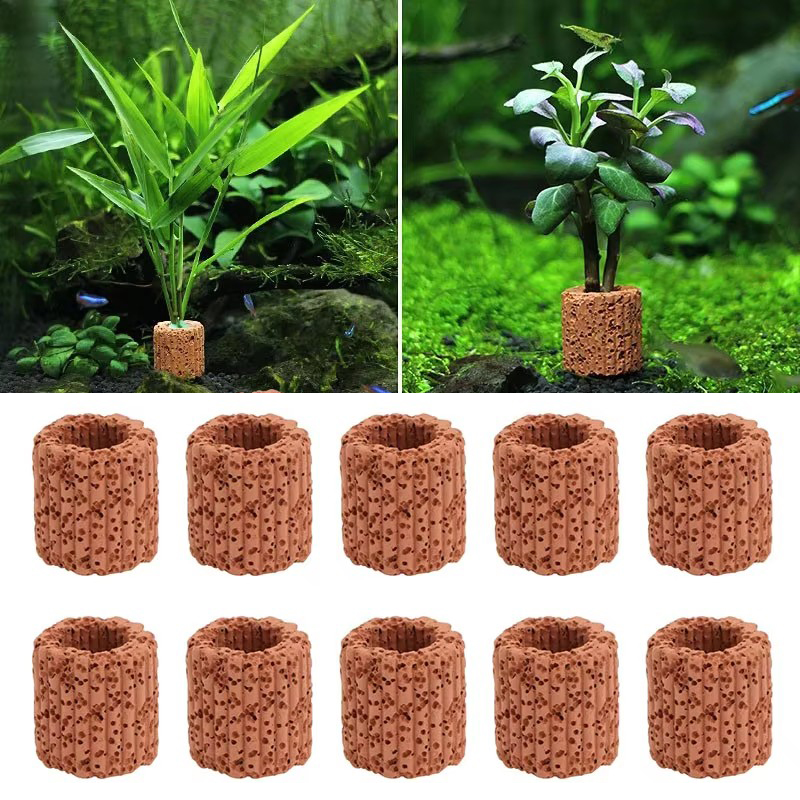 Aquarium Plant Live - Anel fixo de planta aquática para