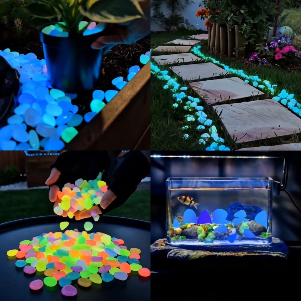 Planted Aquarium With Fish - Pedras luminosas coloridas que brilham no