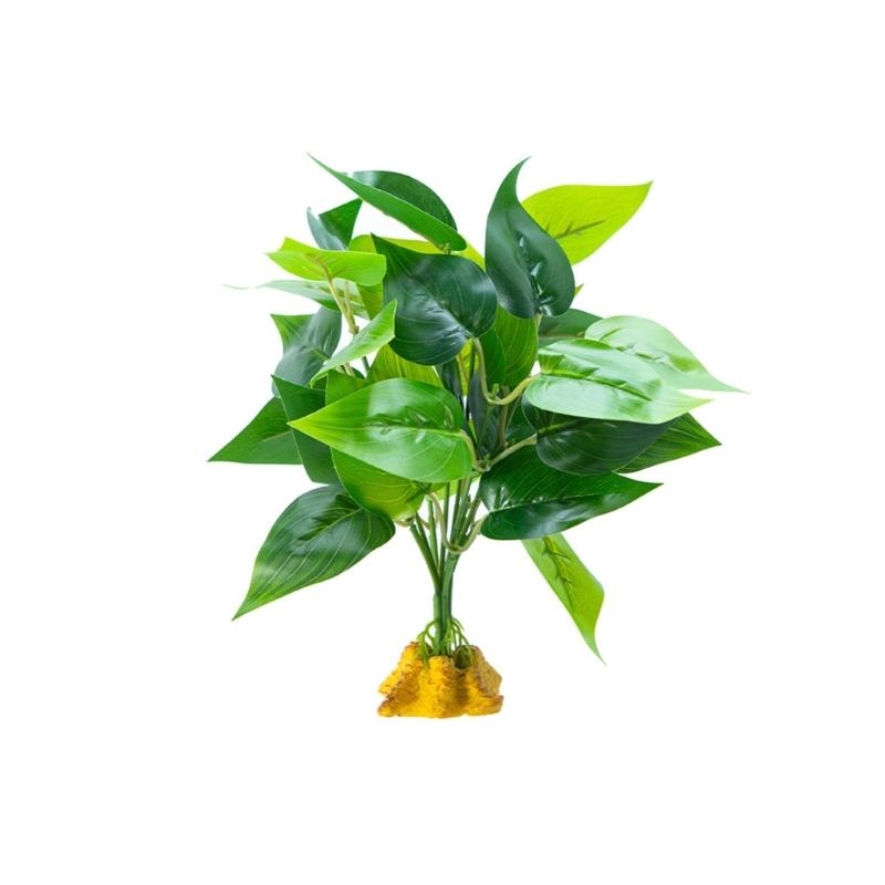 Planted Aquarium With Fish - Aquários aquários peixes pendurados artificiais