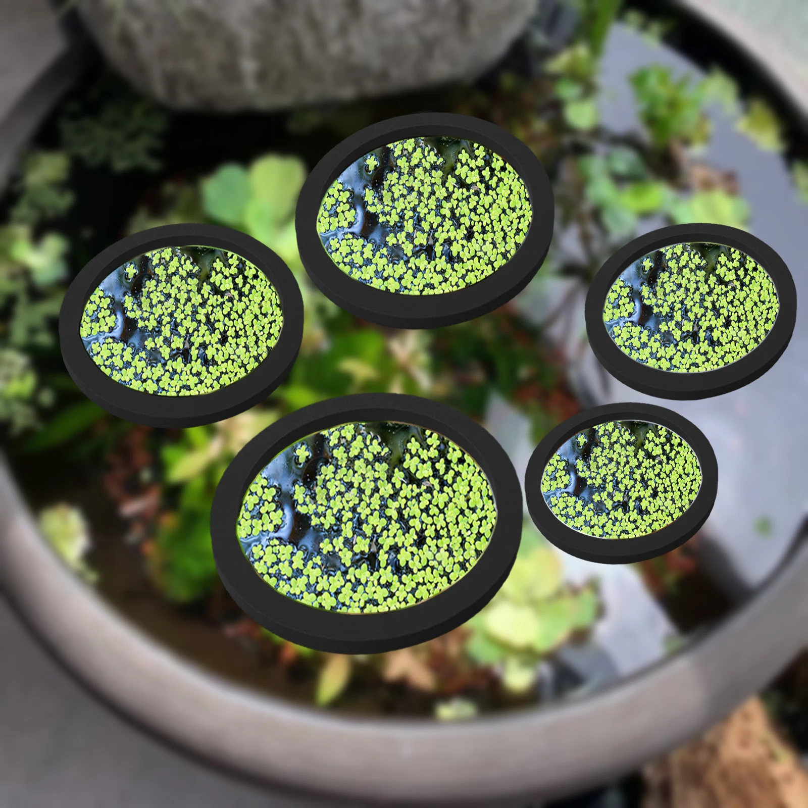 Planted Aquarium With Fish - 5 pçs eva anel de alimentação