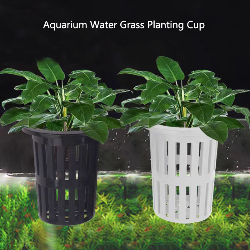 Aquarium Plant Live - 1/3 pçs cesta de plantas de