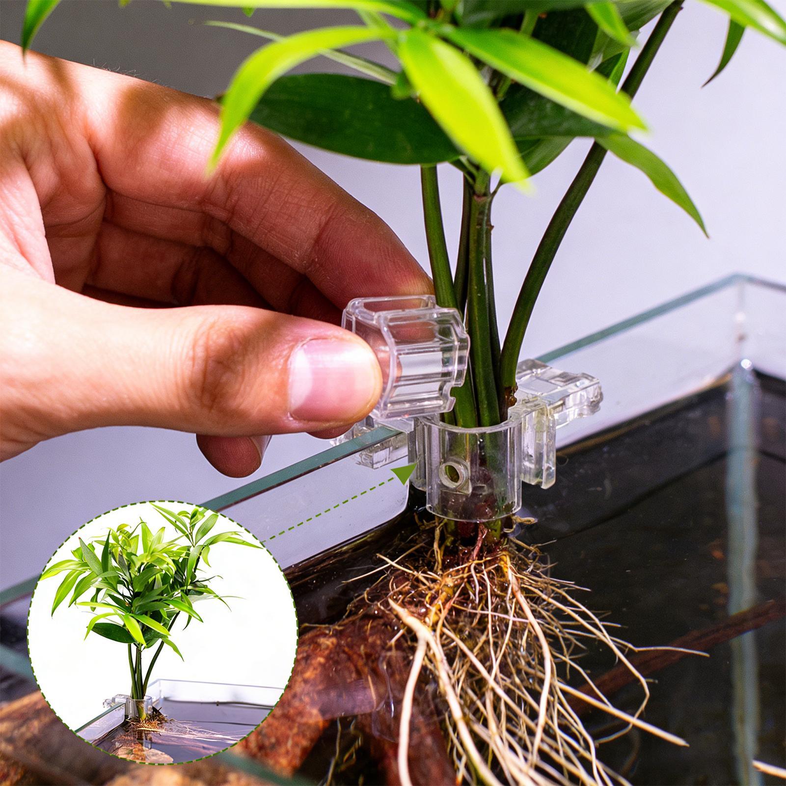 Aquarium Plant Live - Suportes Transparentes para Plantas de Aquário