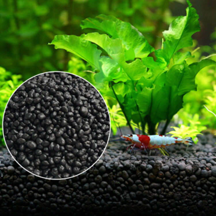 Planted Aquarium With Fish - Solo para plantas do tanque de
