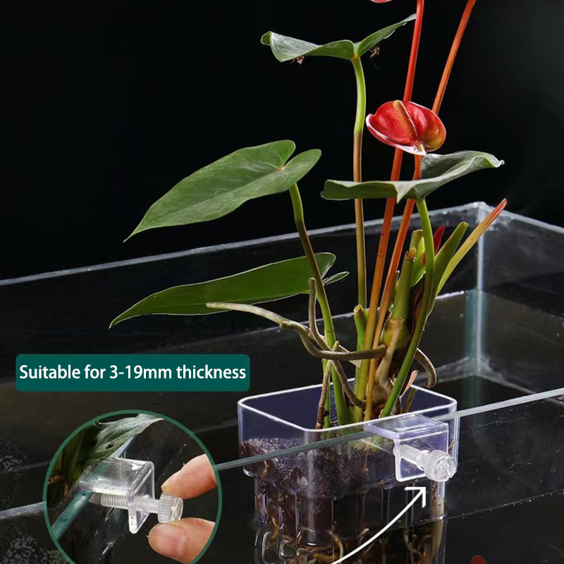 Planted Aquarium With Fish - Multifuncional Aquário De Peixes, Água Grama