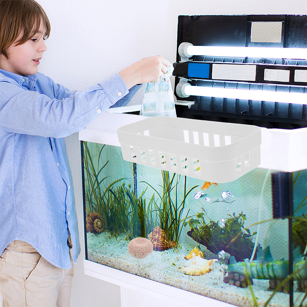 Live Plant Aquarium Set Up - Suporte para Plantas de Aquário com