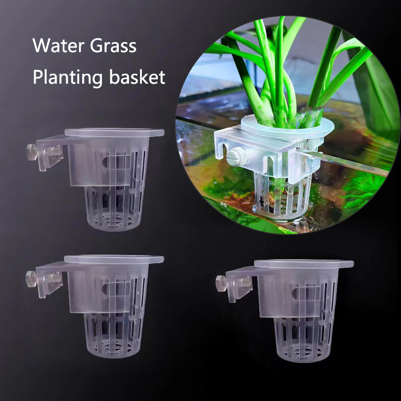 Aquarium Plant Live - Cesta de plantio de aquário, suporte