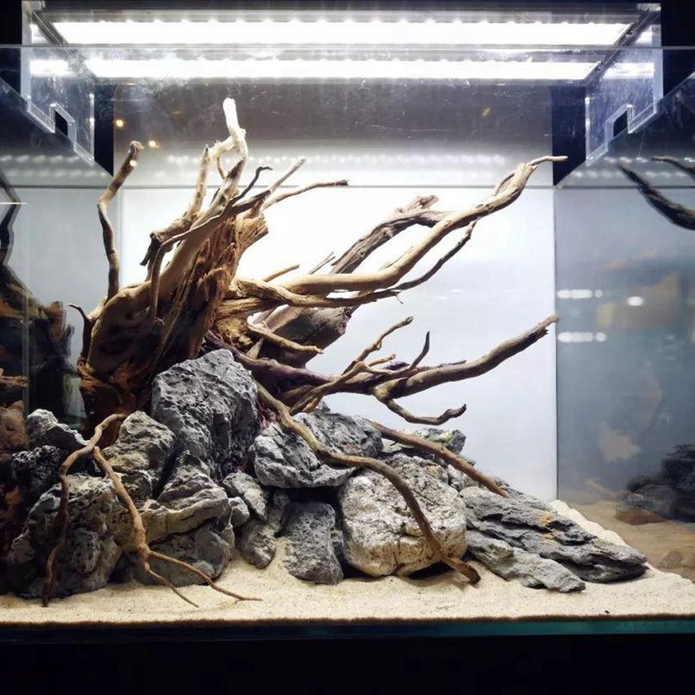 Tronco de Madeira Natural N1N  - Aquarium Plant Live avaliação e preço