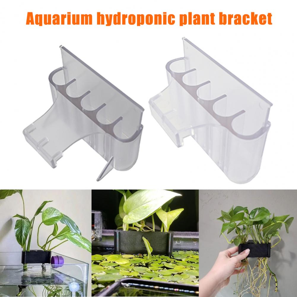 4.5/6.5cm suporte de planta de - Planted Aquarium With Fish avaliação e preço