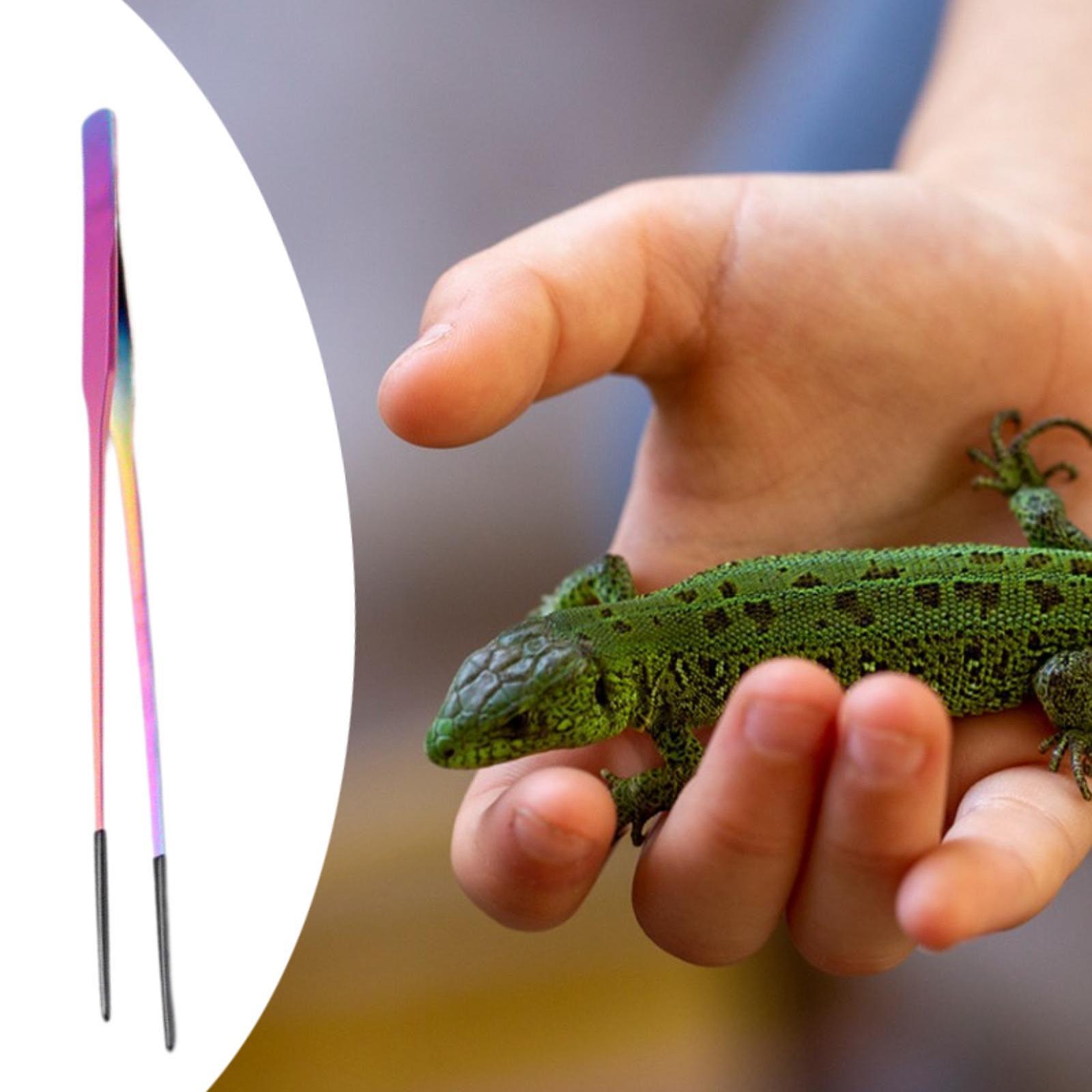 Pinça de Alimentação para Répt - Planted Aquarium Tips avaliação e preço