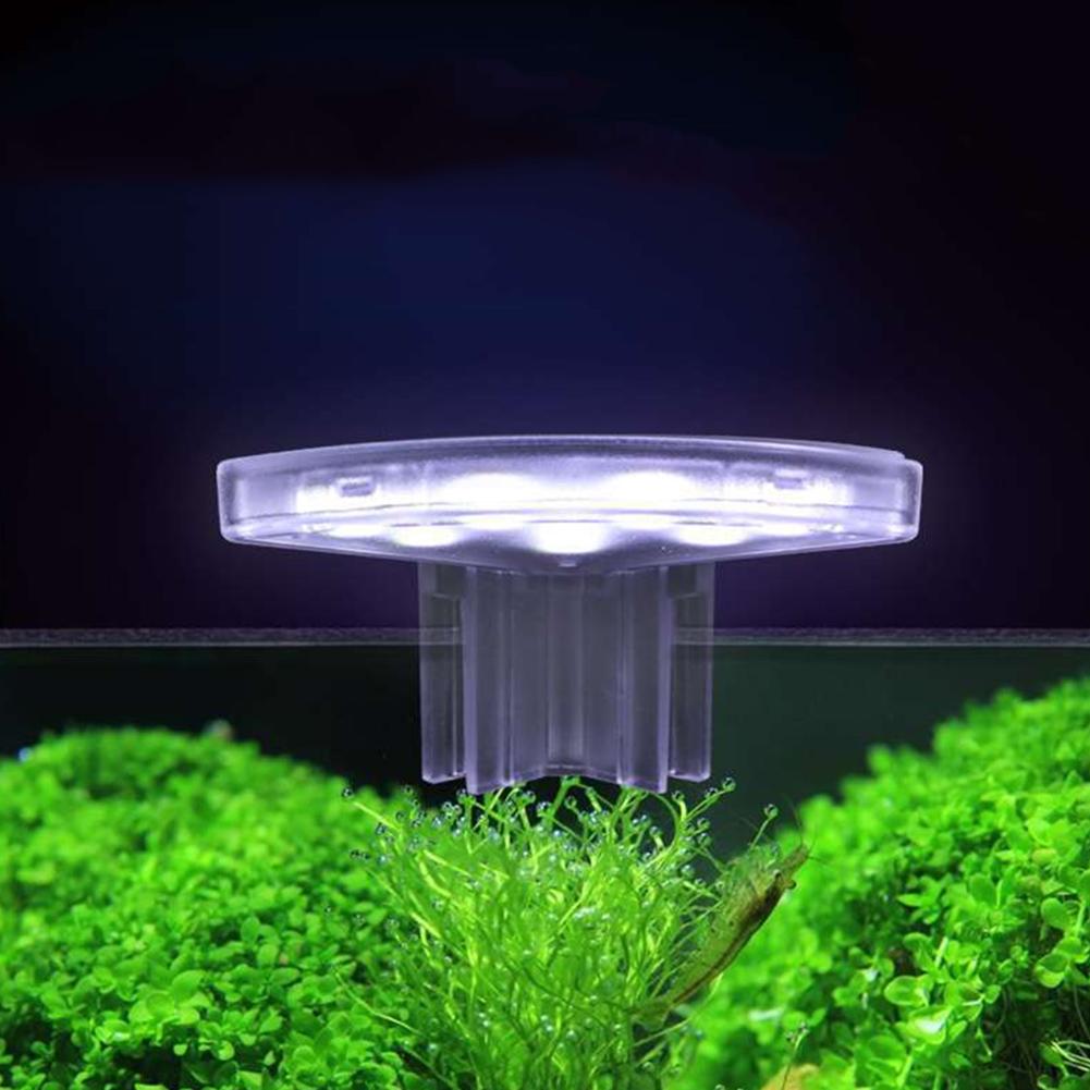 Lâmpada LED para cultivo de pl - Aquarium Plant Easy To Grow avaliação e preço