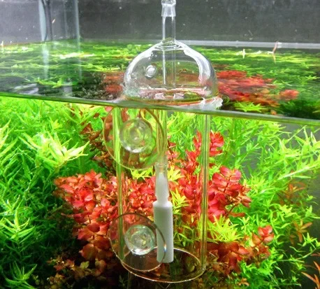 VIV DO DISPOSITIVO Cilindro de - Planted Aquarium Air Stone avaliação e preço
