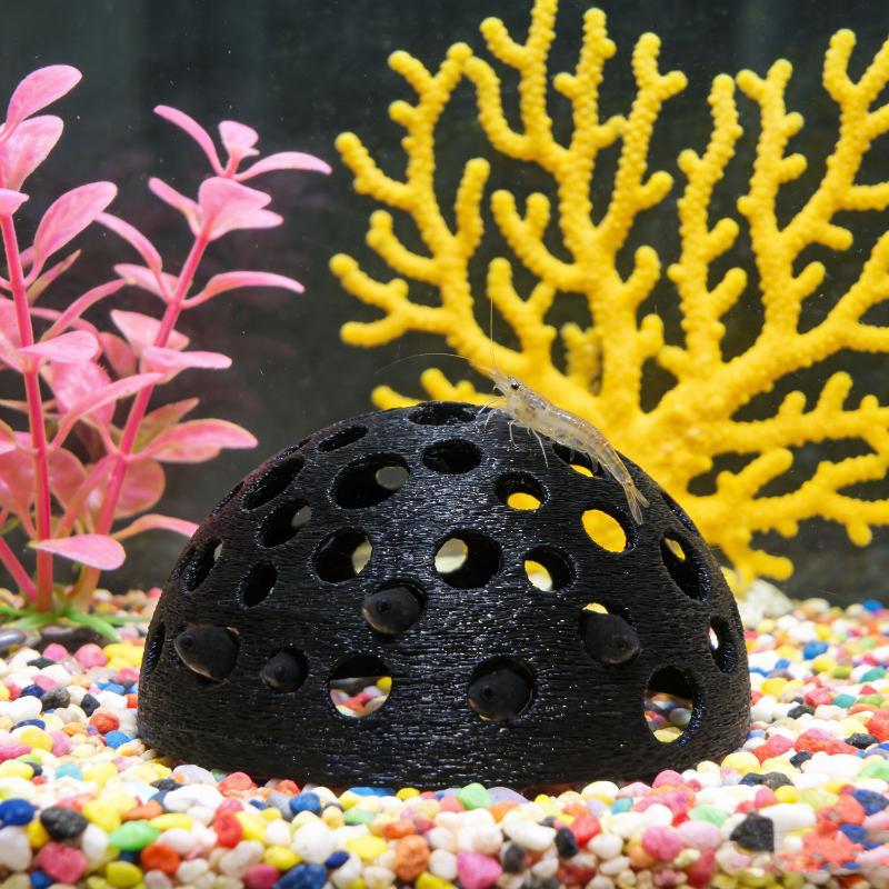 Caverna Oculta para Aquário: A - Aquarium Plant Live avaliação e preço