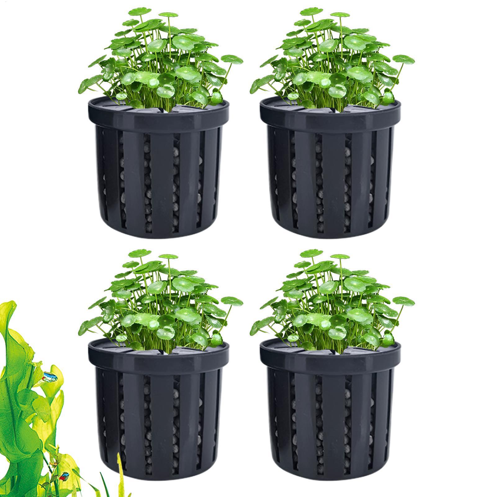 Conjunto de 4 Vasos Plantadore - Aquarium Plant Live avaliação e preço