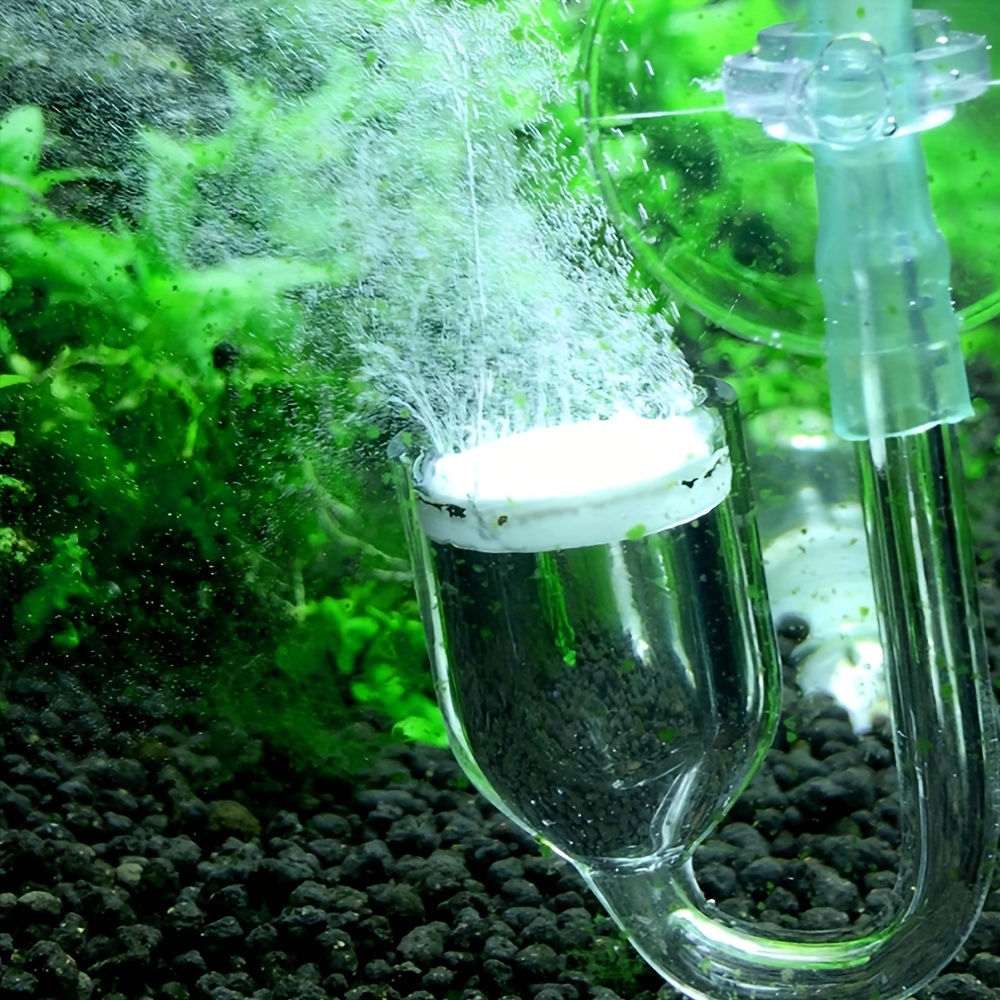 Difusor de atomizador de co2 d - Aquarium Plant No Co2 avaliação e preço