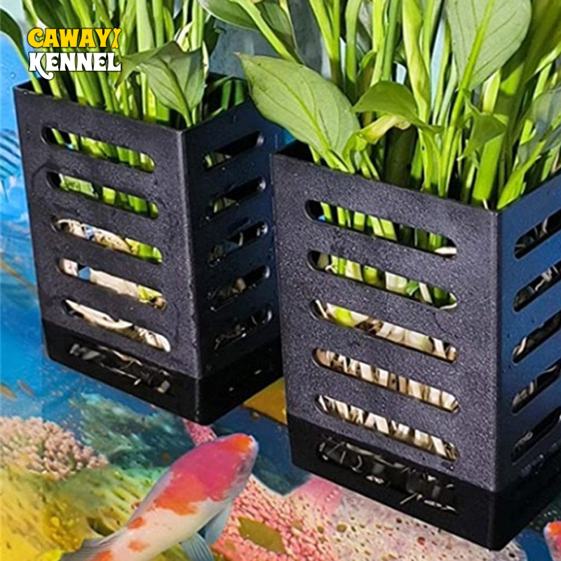 Plástico Quadrado Oco Cesta De - Aquarium Plant Live avaliação e preço