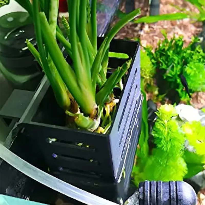 Plástico Quadrado Oco Cesta De - Aquarium Plant Live avaliação e preço