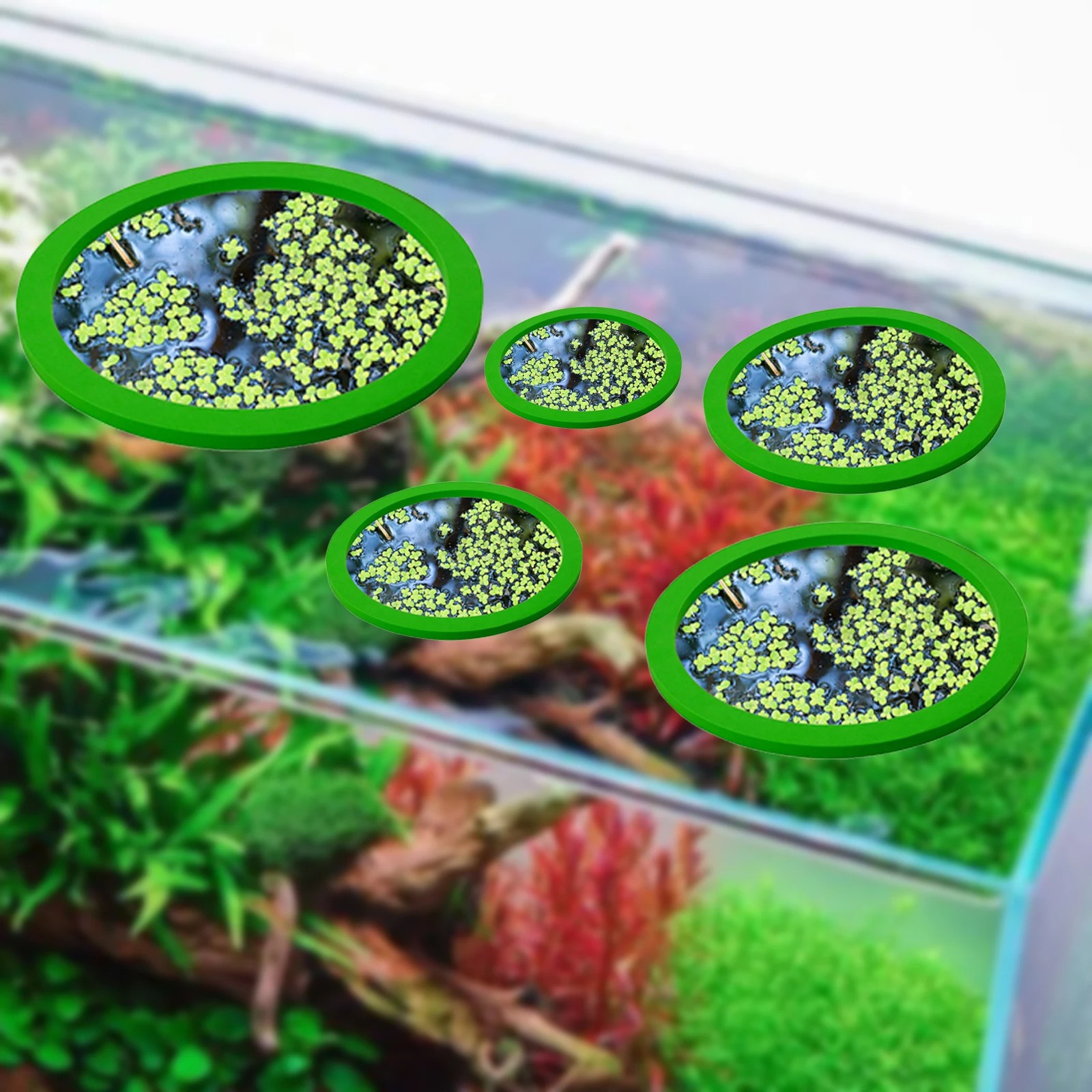 5 pçs eva anel de alimentação  - Planted Aquarium With Fish avaliação e preço