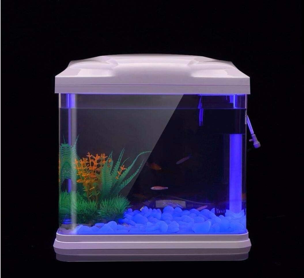 Rochas do tanque de peixes bri - Planted Aquarium With Fish avaliação e preço