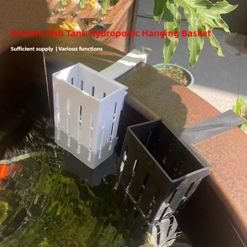1/3 pçs cesta de plantas de aq - Aquarium Plant Live avaliação e preço