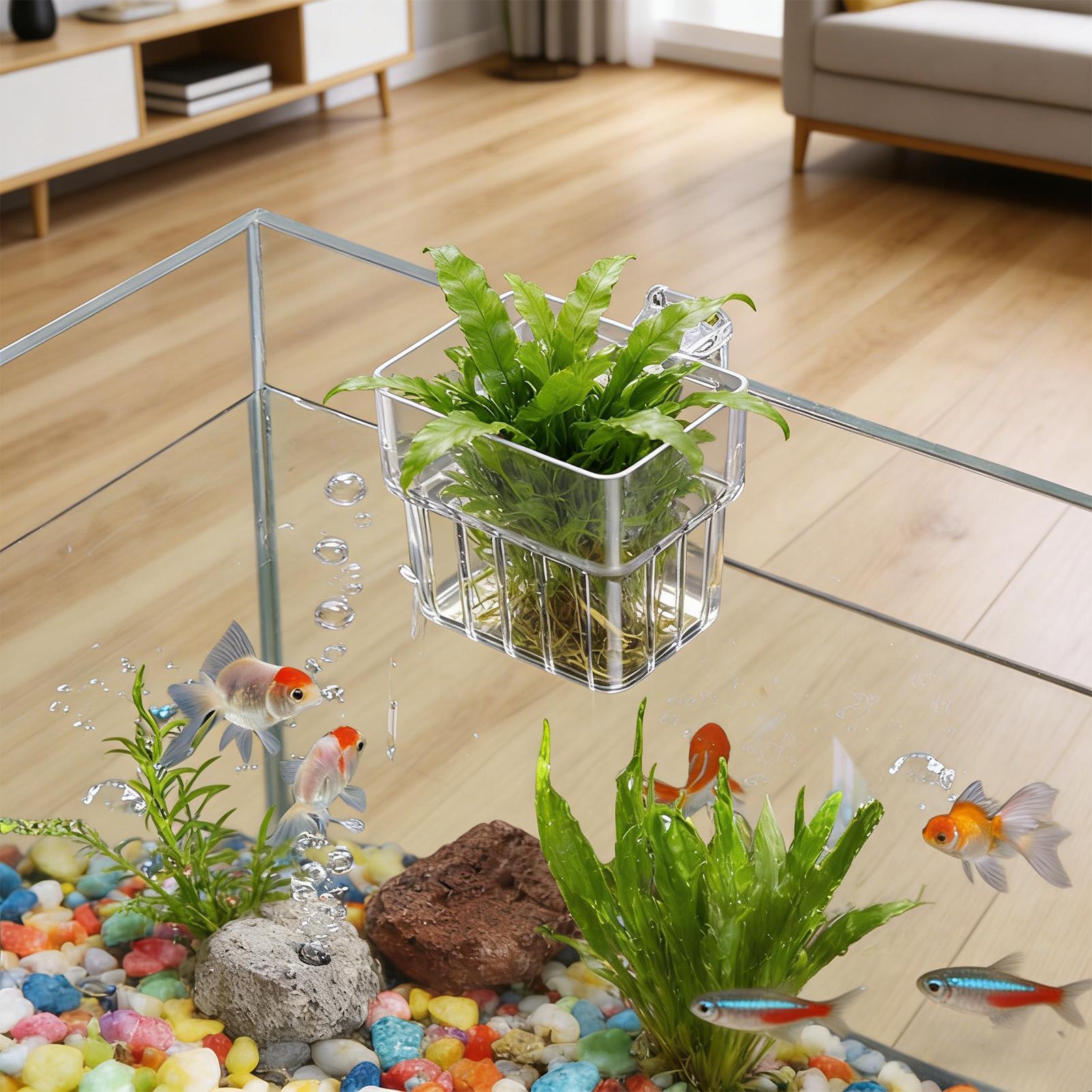 Suporte Transparente para Aquá - Aquarium Plant Live avaliação e preço