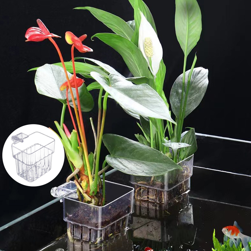 Multifuncional Aquário De Peix - Planted Aquarium With Fish avaliação e preço