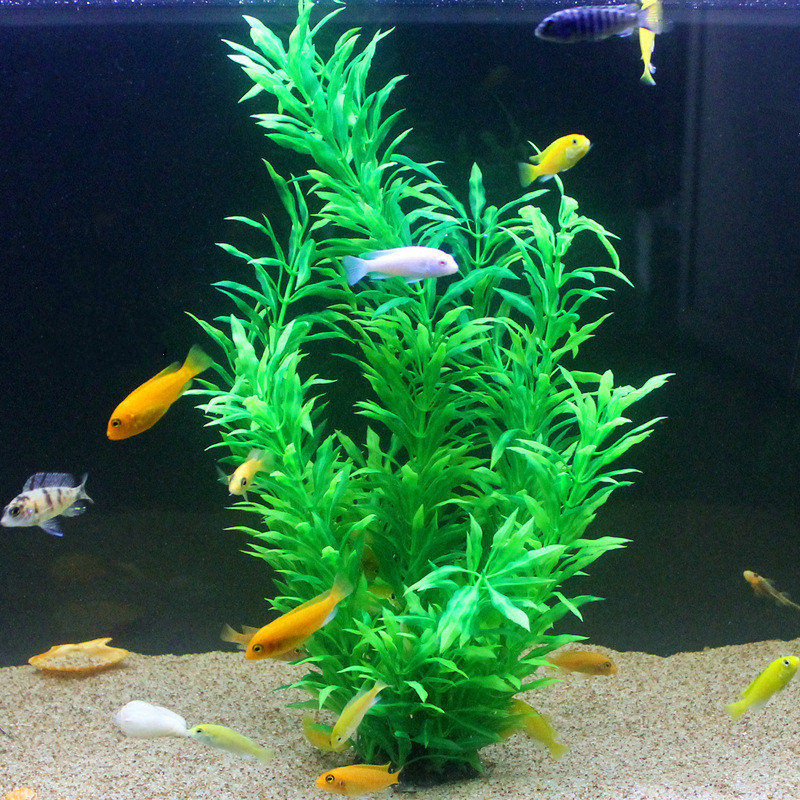 Plantas Artificiais Raras para - Planted Aquarium With Fish avaliação e preço