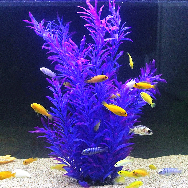 Plantas Artificiais Raras para - Planted Aquarium With Fish avaliação e preço