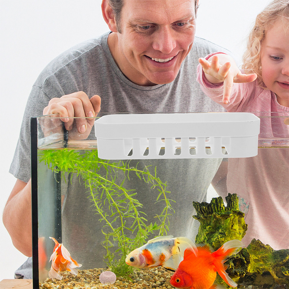 Suporte para Plantas de Aquári - Live Plant Aquarium Set Up avaliação e preço