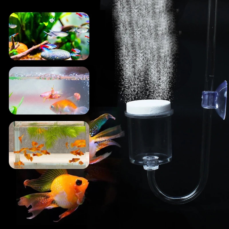 CO2 Difusor para Aquário, DIY  - Aquarium Plant No Co2 avaliação e preço
