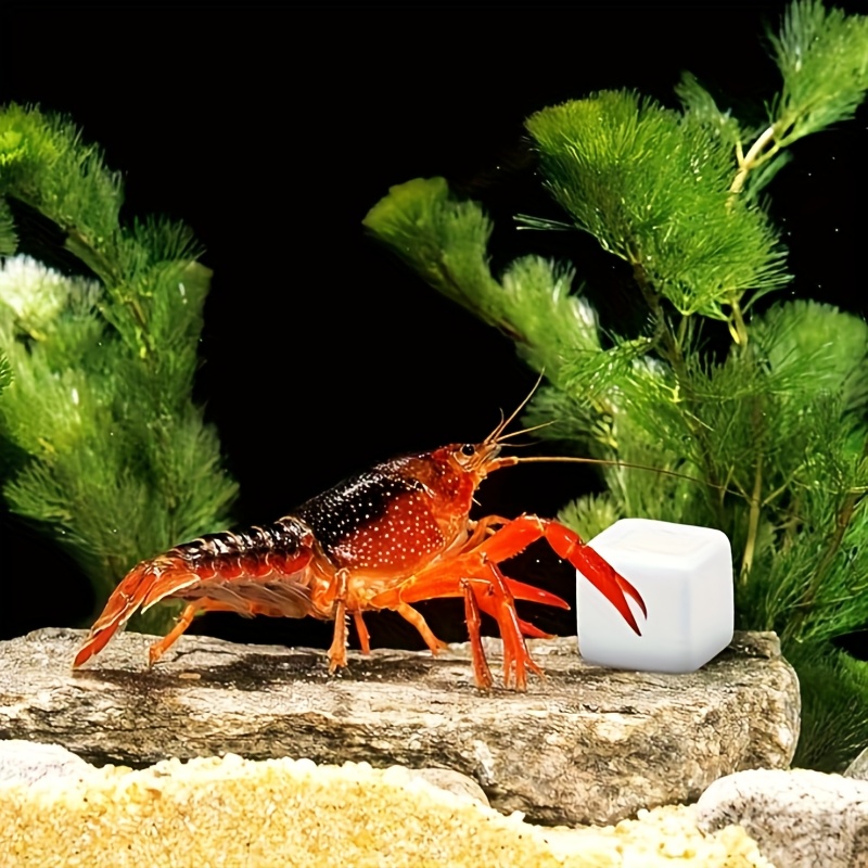 6 pçs tanque de peixes bloco d - Aquarium Plant Live avaliação e preço