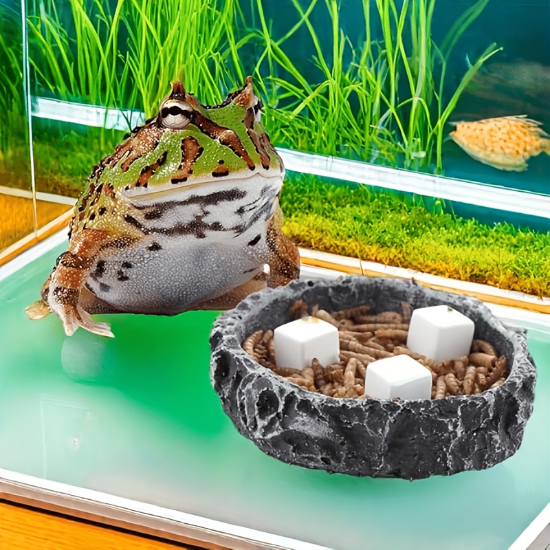 6 pçs tanque de peixes bloco d - Aquarium Plant Live avaliação e preço